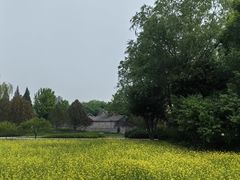 -北坞公园