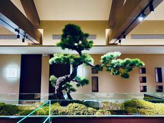 -单家老院·院子里的青岛菜(沙子口店)