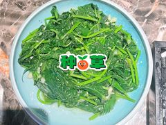 红薯叶-2046湘味厨房(深圳湾店)