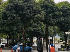 -友谊关景区
