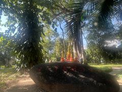 -瑞丽独树成林风景区