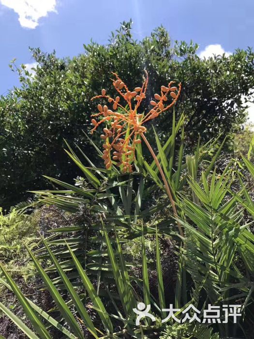 中央南丫岛远足径图片 - 第3张