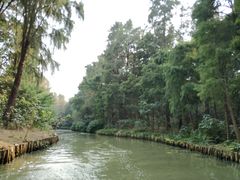 -同里国家湿地公园