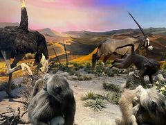 -国家自然博物馆