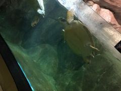 -福州罗源湾海洋世界旅游区