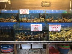 -真浪花园海鲜餐馆