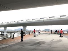 -演武大桥观景平台