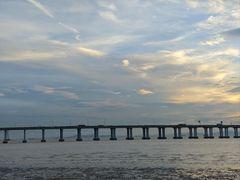 -宝安西湾红树林湿地公园