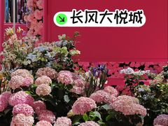 -上海长风大悦城