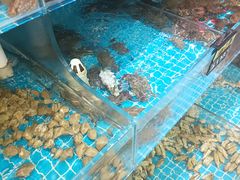 -蓝珊甄选海鲜自助·火锅大排档(近阿那亚店)