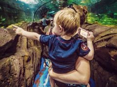 -悉尼海洋生物水族馆