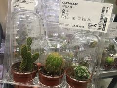 -宜家家居(西安未央商场店)