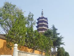 -高旻寺