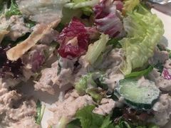 -Tubestation站点比萨(五道营店)