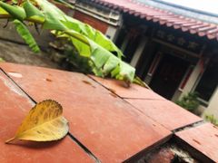 -晋江五店市传统文化旅游区