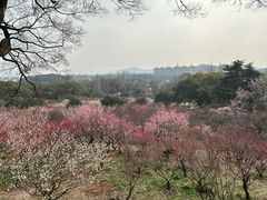 -无锡梅园公园