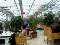 大厅-龙凤山庄(永定镇店)