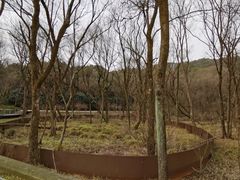 -西湖风景区-江洋畈生态公园