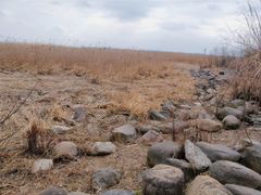 -上海吴淞炮台湾国家湿地公园