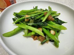 -白沙码头海鲜广场
