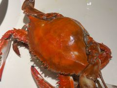 -宝轩渔府·海鲜(水上店)