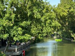 -扬州大运河文化旅游度假区·盆景园