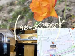 -飞洲国际广场