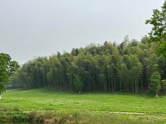-良渚古城遗址公园