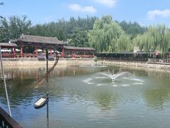 -尚庄度假村·庭台树下·户外烧烤·团建CS·轰趴营地(上庄水库店)