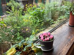 -慢丽江·云南野生菌土鸡锅(付家庄店)
