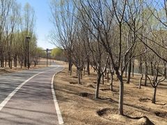 -马家湾湿地公园