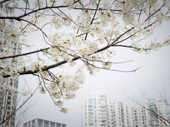 -苏州河梦清园环保主题公园