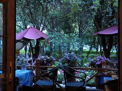 -月亮眼花园餐厅书吧酒吧