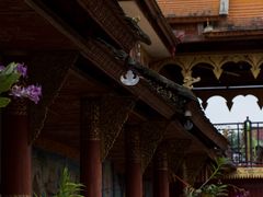 -西双版纳傣族园-曼春满佛寺