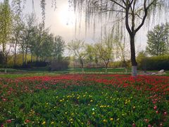 -济南植物园