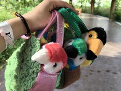 -新加坡飞禽公园