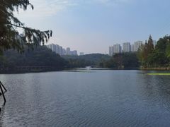 -重庆彩云湖湿地公园