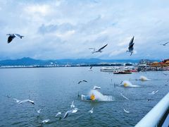 -海埂大坝