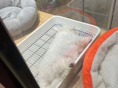 -7分甜(苏州中心店)