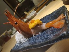 -鲤·鮨KOISUSHI