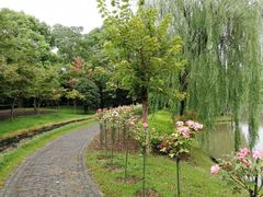 -上海鲜花港
