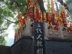 -大槐树寻根祭祖园