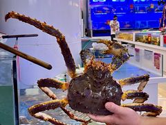 -驻海渔市(置信店)