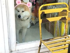 -餐酒吧Com-ing Bar(上海路店)