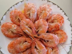 -好孕妈妈月嫂(哈尔滨总店)