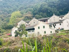 -雁南飞茶田景区