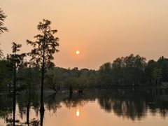 -贡湖湾湿地公园