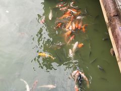 -揭东万竹园旅游景区