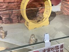 -正佳雨林生态植物园