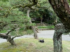 -水前寺成趣园
